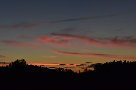 Sonnenuntergang über dem Wald. Die Bäume sind nur schwarze Umrisse, während der Himmel blau und orange ist und von rot beleuchteten Wolkenschleiern durchzogen ist.