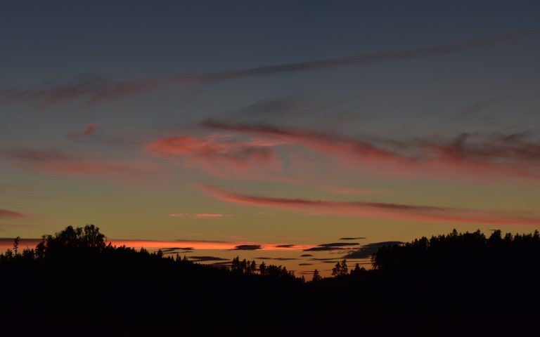 Sonnenuntergang über dem Wald. Die Bäume sind nur schwarze Umrisse, während der Himmel blau und orange ist und von rot beleuchteten Wolkenschleiern durchzogen ist.