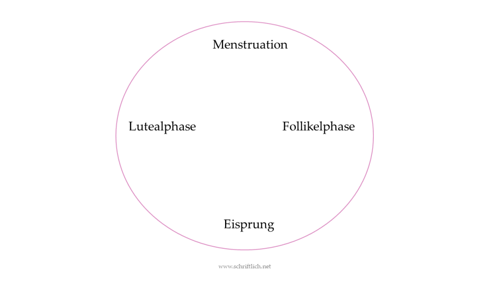 Ein rosafarbener Kreis in dem die Begriffe Menstruation, Follikelphase, Eisprung und Lutealphase (also die vier Zyklusphasen) stehen.