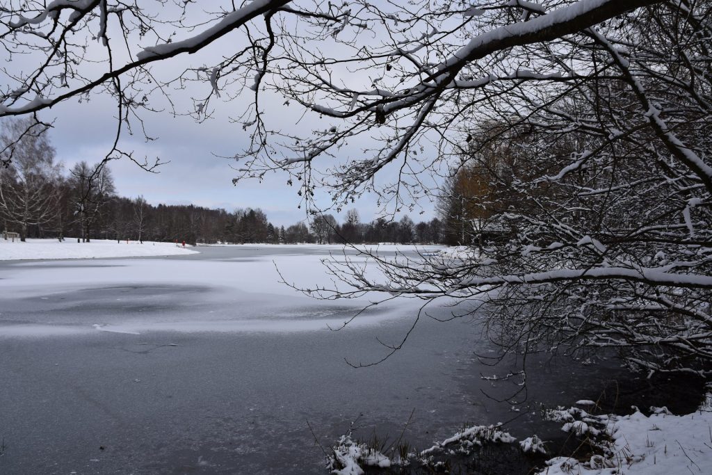 Man sieht einen zugefrorenen See über den die schneebedecktenZweige einiger Bäume hängen