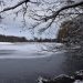 Man sieht einen zugefrorenen See über den die schneebedecktenZweige einiger Bäume hängen